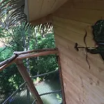 Hotel Les Cabanes Au Bois D'orient