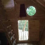 Les Cabanes Au Bois D'orient * Briel-sur-Barse