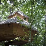 Les Cabanes Au Bois D'orient Hotel