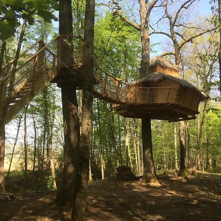 Les Cabanes Au Bois D'orient فندق *