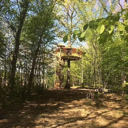Les Cabanes Au Bois D'orient * Briel-sur-Barse
