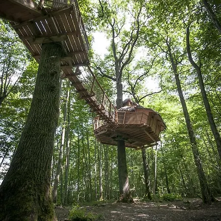 Les Cabanes Au Bois D'orient *