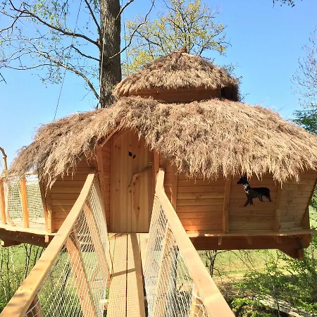 Les Cabanes Au Bois D'orient Briel-sur-Barse